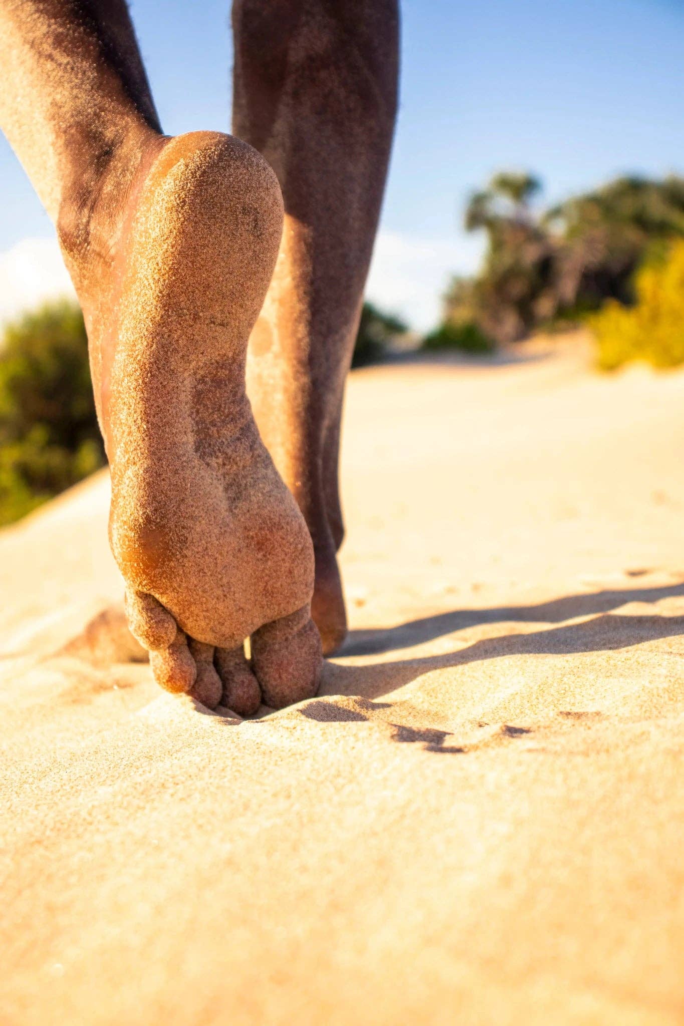 Rhythm & Hues - Wholesale Art Print - Tracing the Moment3