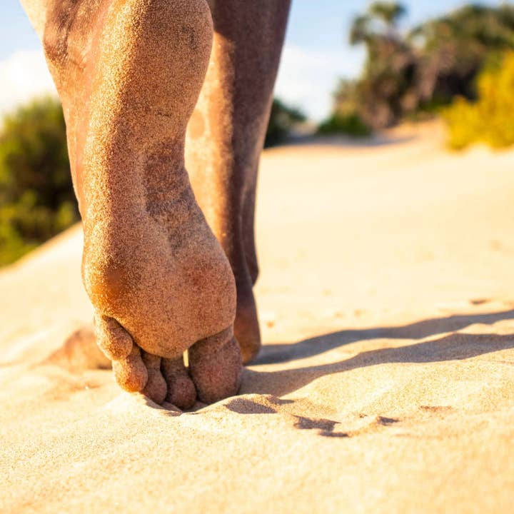 Rhythm & Hues - Wholesale Art Print - Tracing the Moment3