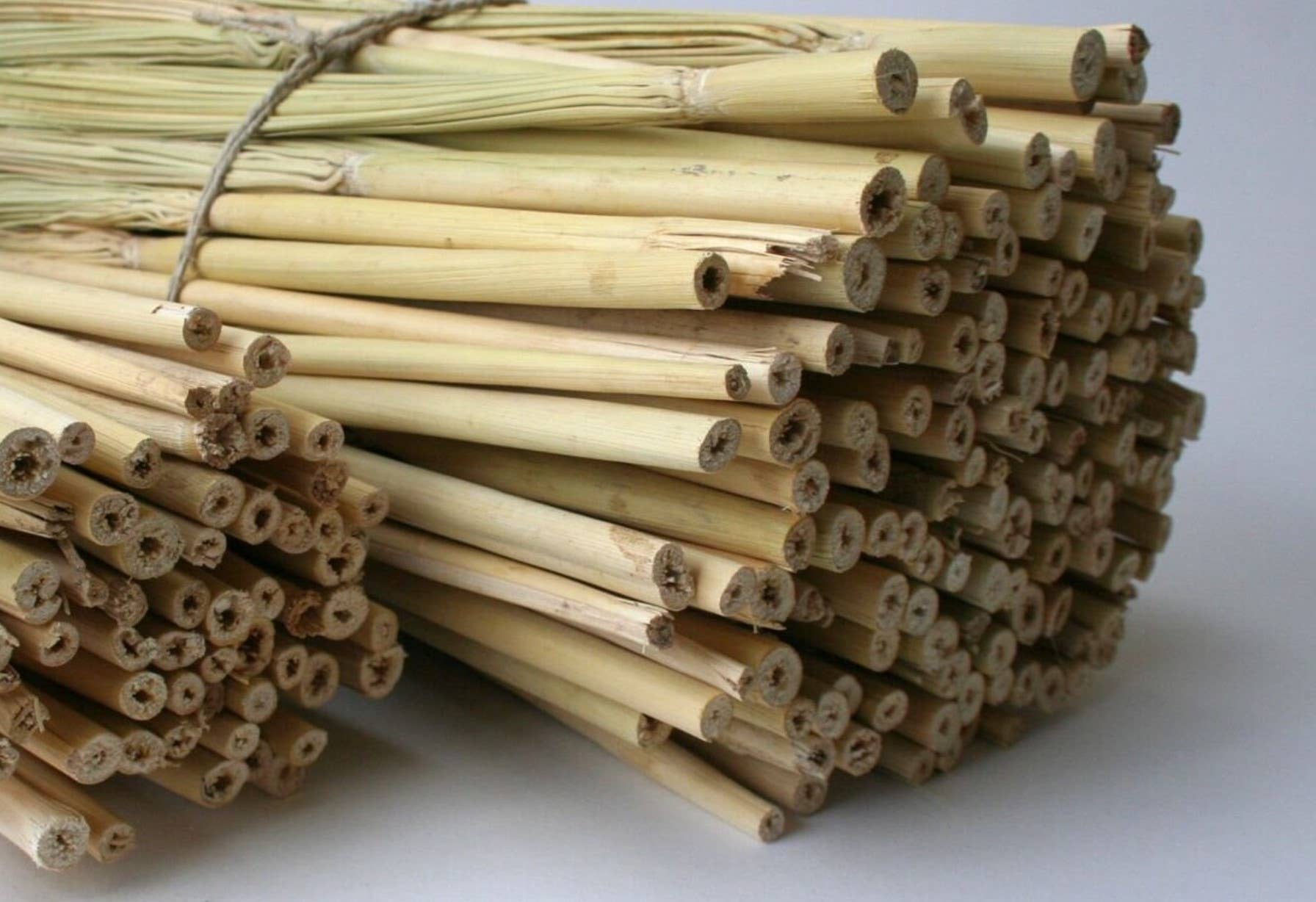 Parker Homestead - Wholesale Craft Supplies - Craft Broom Corn3