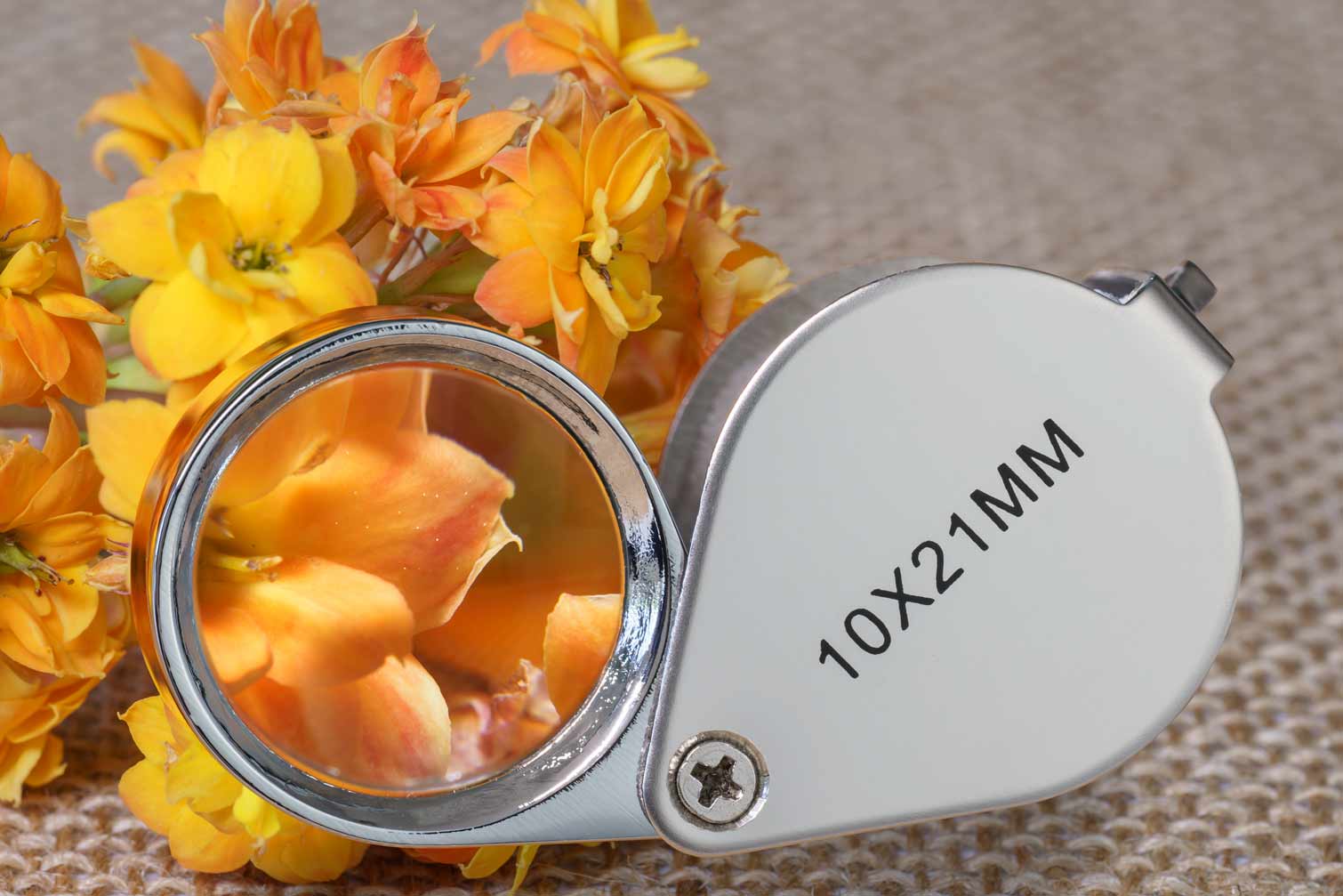 Heebie Jeebies USA - Wholesale Magnifying Glass - Field Magnifier Scientific Tool1