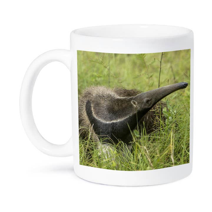3dRose - Wholesale Coffee Mug - 3dRose, Brazil, Pantanal. Giant anteater in grass. , Mug8