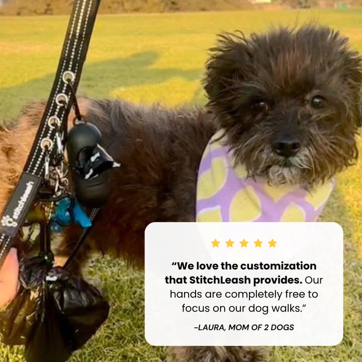 StitchLeash - Wholesale Pet Leash - Dog - StitchLeash® Bryce Clip & Go™ Flat Nylon Leash – Black | 6 ft | 24 per case11