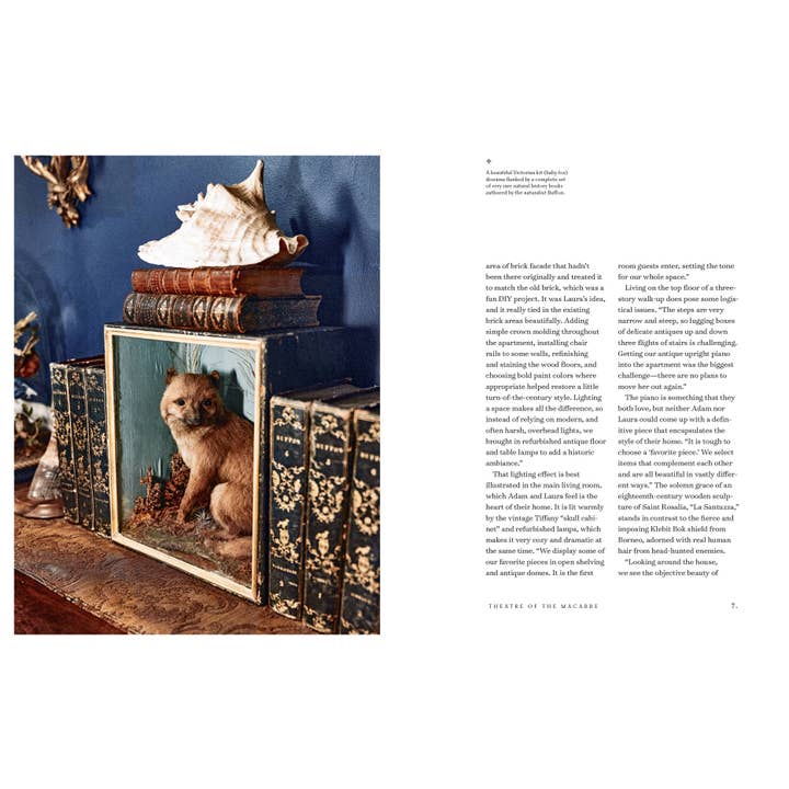 Hachette Book Group - Wholesale Home & Garden - The Art of Gothic Living: Dark Decor for the Modern Macabre6