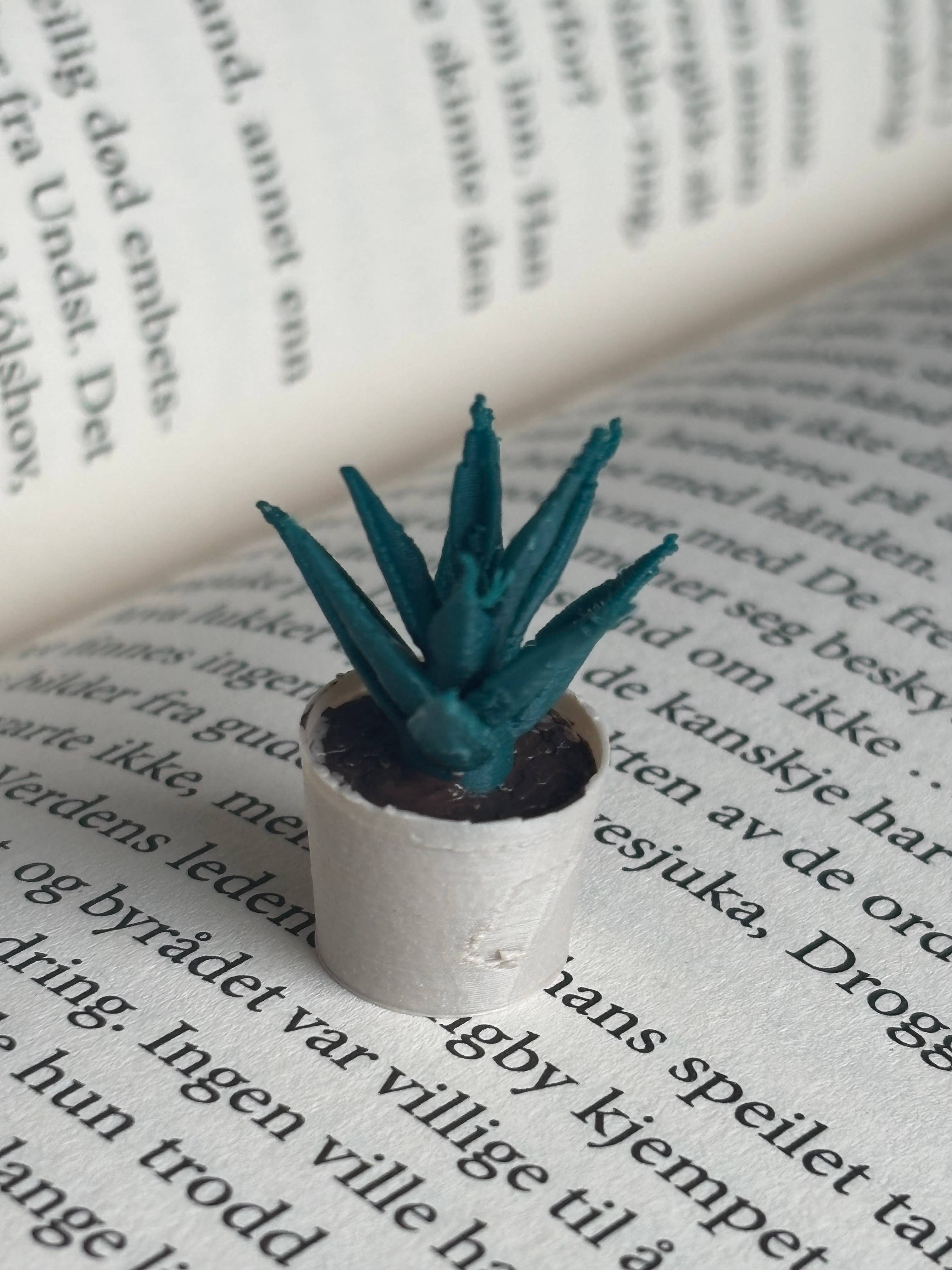 Nordic Book Adventure - Wholesale Decorative Tabletop Object - Mini Aloe Vera Plant To Miniature Bookshelf 1