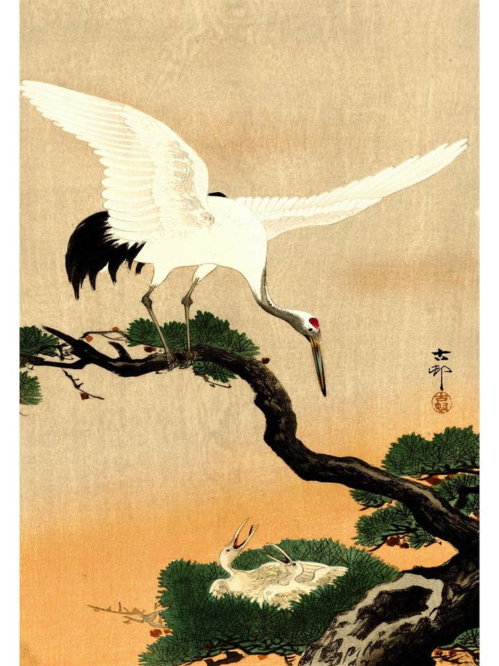 Trane, der fodrer sine unger for engroshandel hos Animato