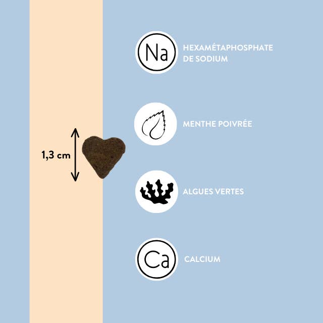 Hello Jack - Wholesale Pet Supplement - Dog - Smile - Supplements for fresh breath and strong teeth5