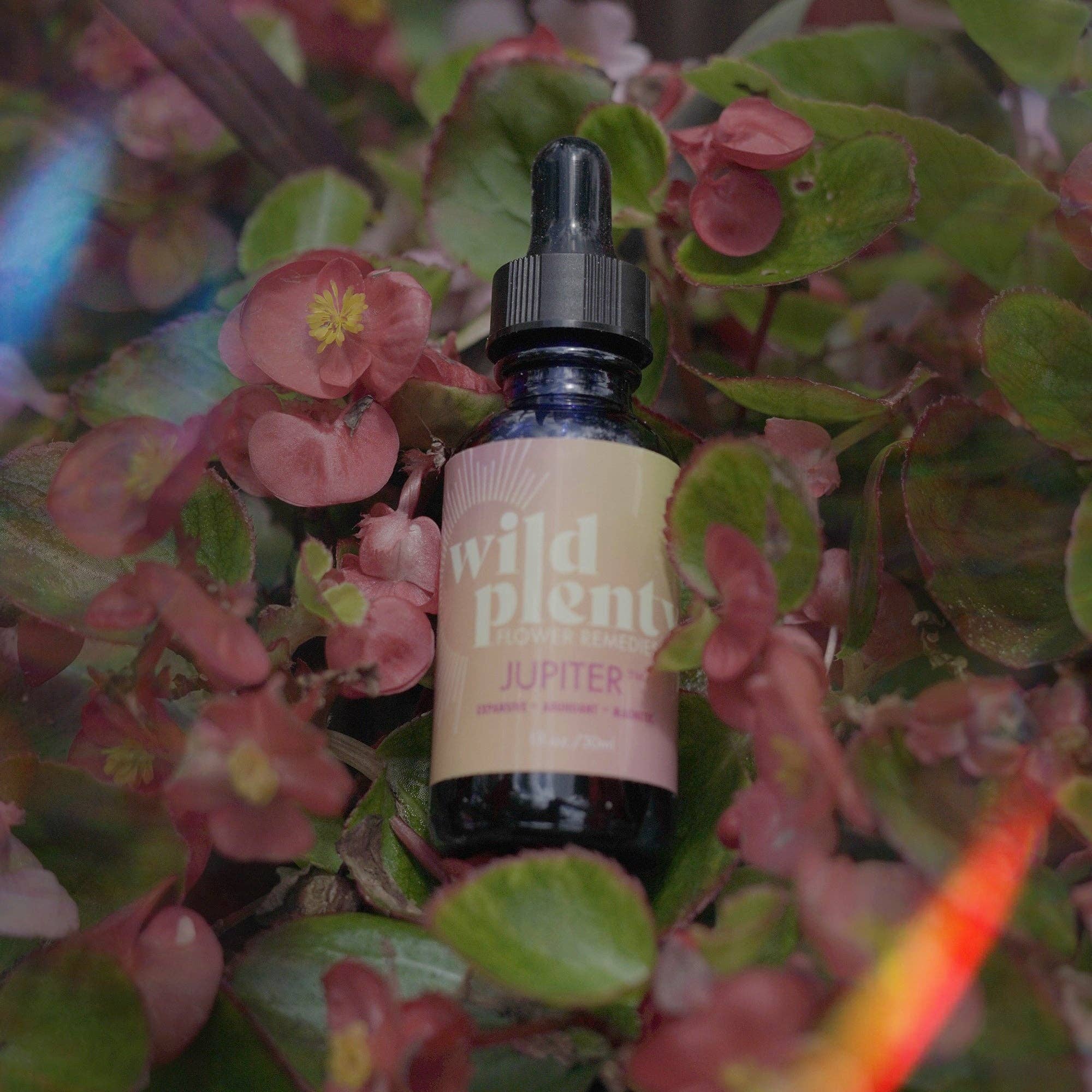 Wild Plenty Flower Remedies - Vente Essence de fleurs - Jupiter™7