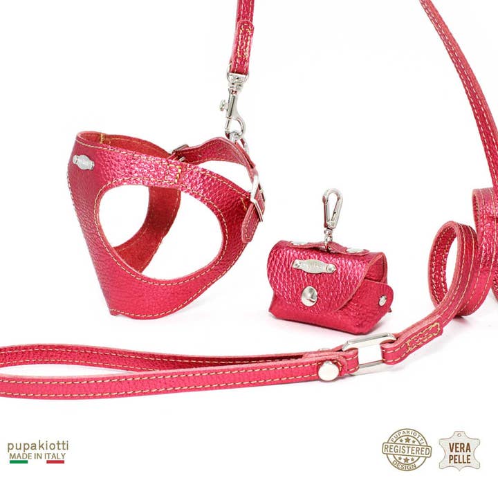Pupakiotti Pets, Brand in Italy Srl. - Wholesale Hondenriem - Hond - GLAM. 3-delige set tuig en riem met leren zakjeshouder voor honden