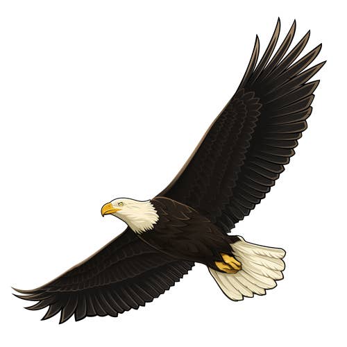 Eagle Soaring Die Cut Sticker - Set of 50 eagle stickers for wholesale by Aurora Stickers