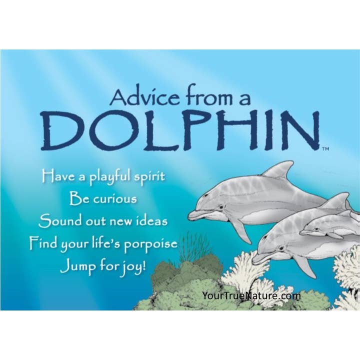 Advice from a Dolphin Jumbo Magnet for wholesale by Advice for Life by Your True Nature