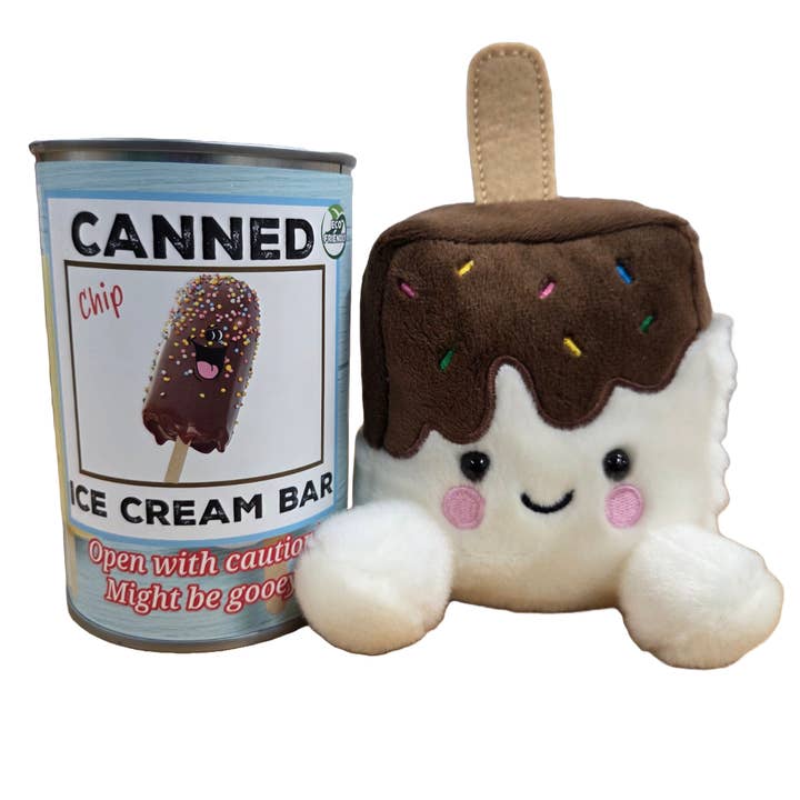 Canned Gifts - Venta al por mayor Regalo de broma/detalle - Barra de Helado en Lata | Delicia de Verano | Regalo de Peluche con Chistes