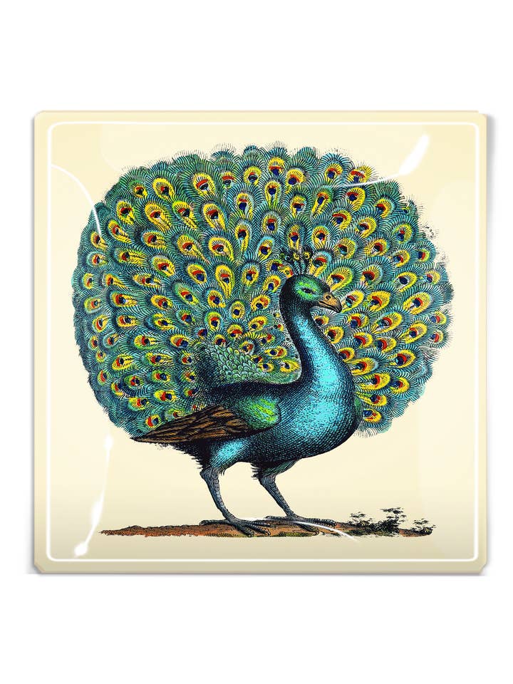 Plateau en verre à découper Proud Peacock pour la vente par Ben's Garden