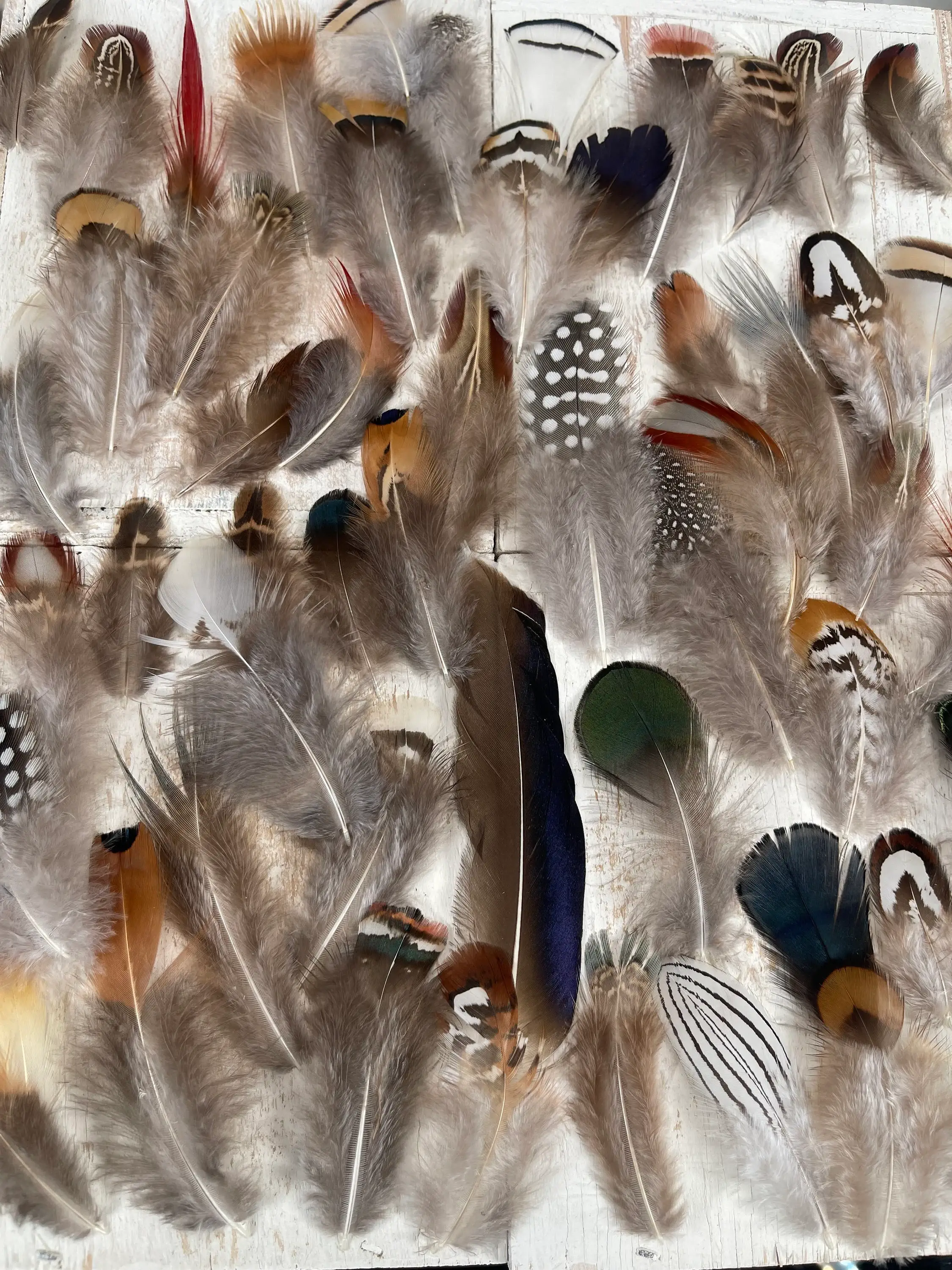 Purchase Wholesale feathers for hair. Free Returns & Net 60 Terms on Faire