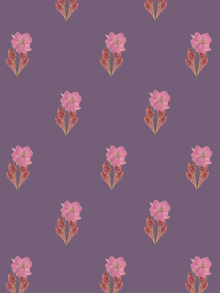 PRIMAVERA POURPRE pour la vente par Made of Matter