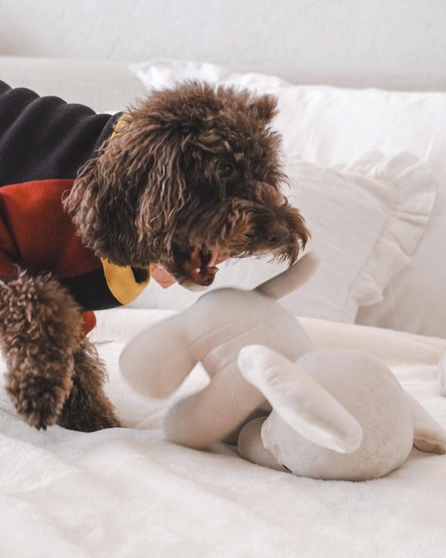 Fur Elise Pets - Wholesale Pet Plush Toy - Dog - Ella Plushie10