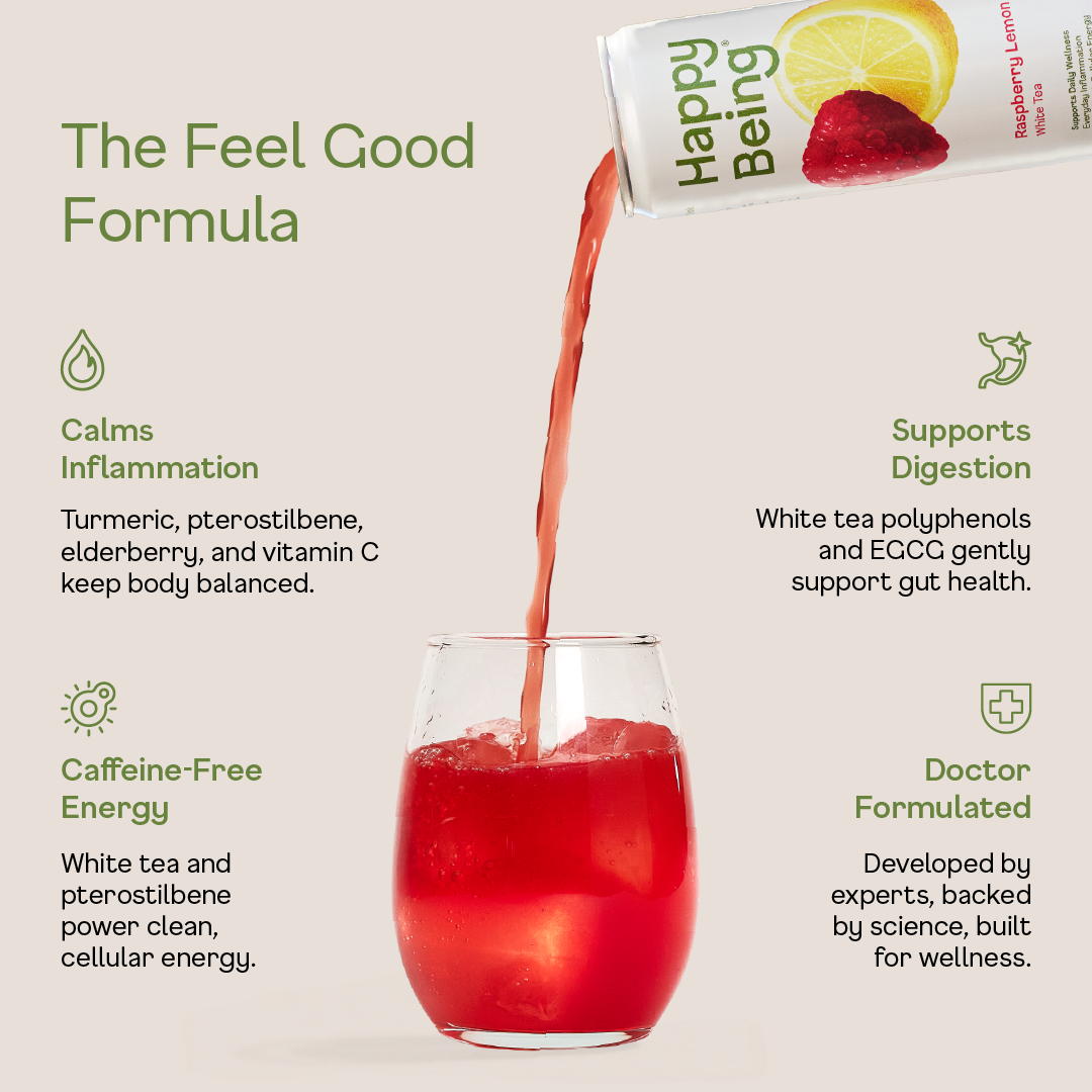 Happy Being - Wholesale Iced Tea - 16 Pack Raspberry3