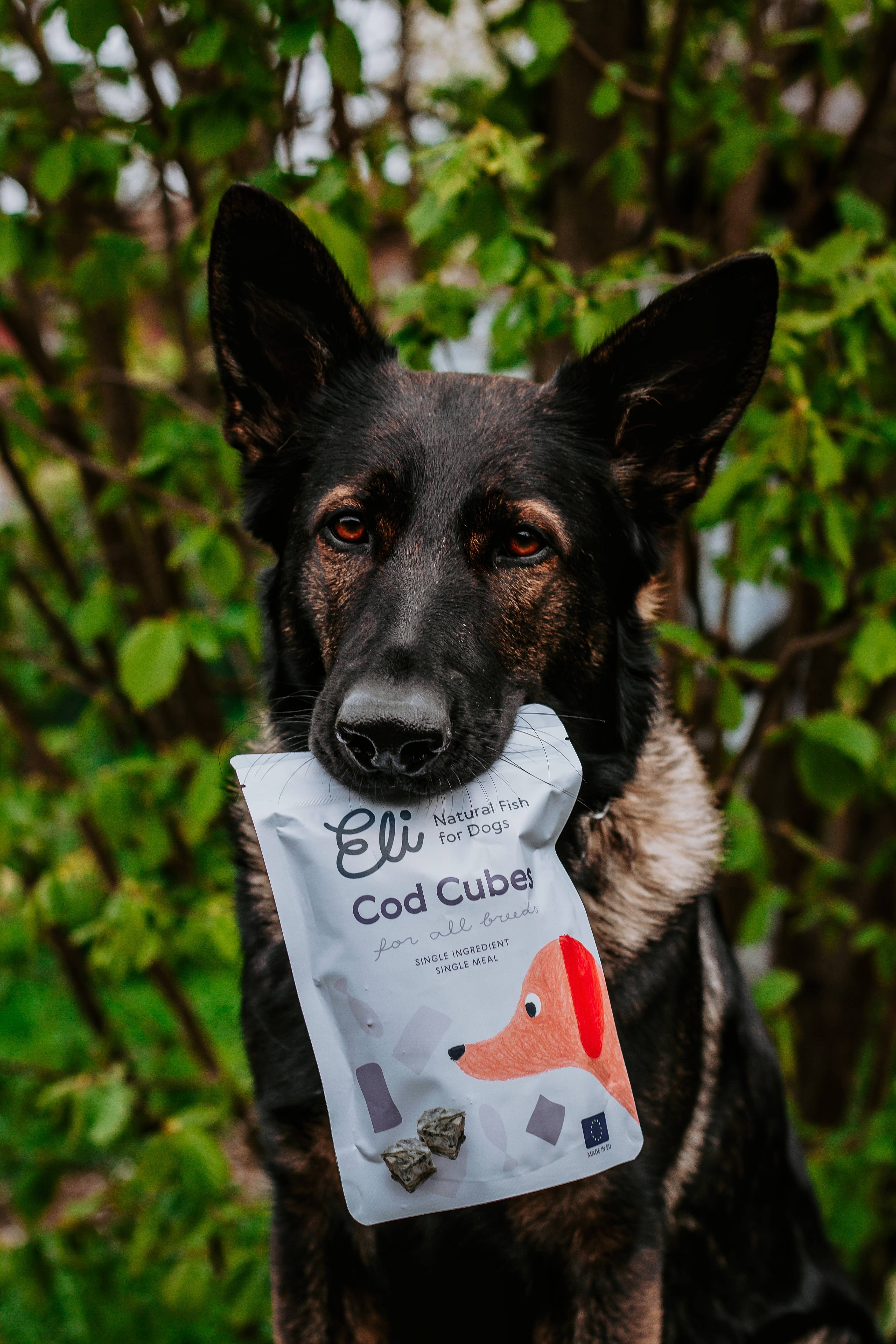 Eli Pet Products – wholesale Pet treats – Dog – Dried Cod Skin Cubes 100% Natural Dog Treats2