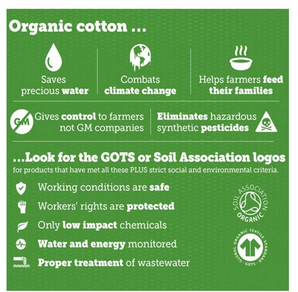 Cotton Hill Lane - Wholesale Jumpsuit - Baby - Bear screen printed organic cotton jersey romper7