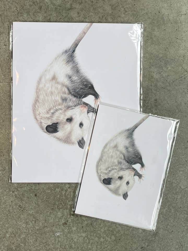 opossum - print for wholesale by stück in the studio