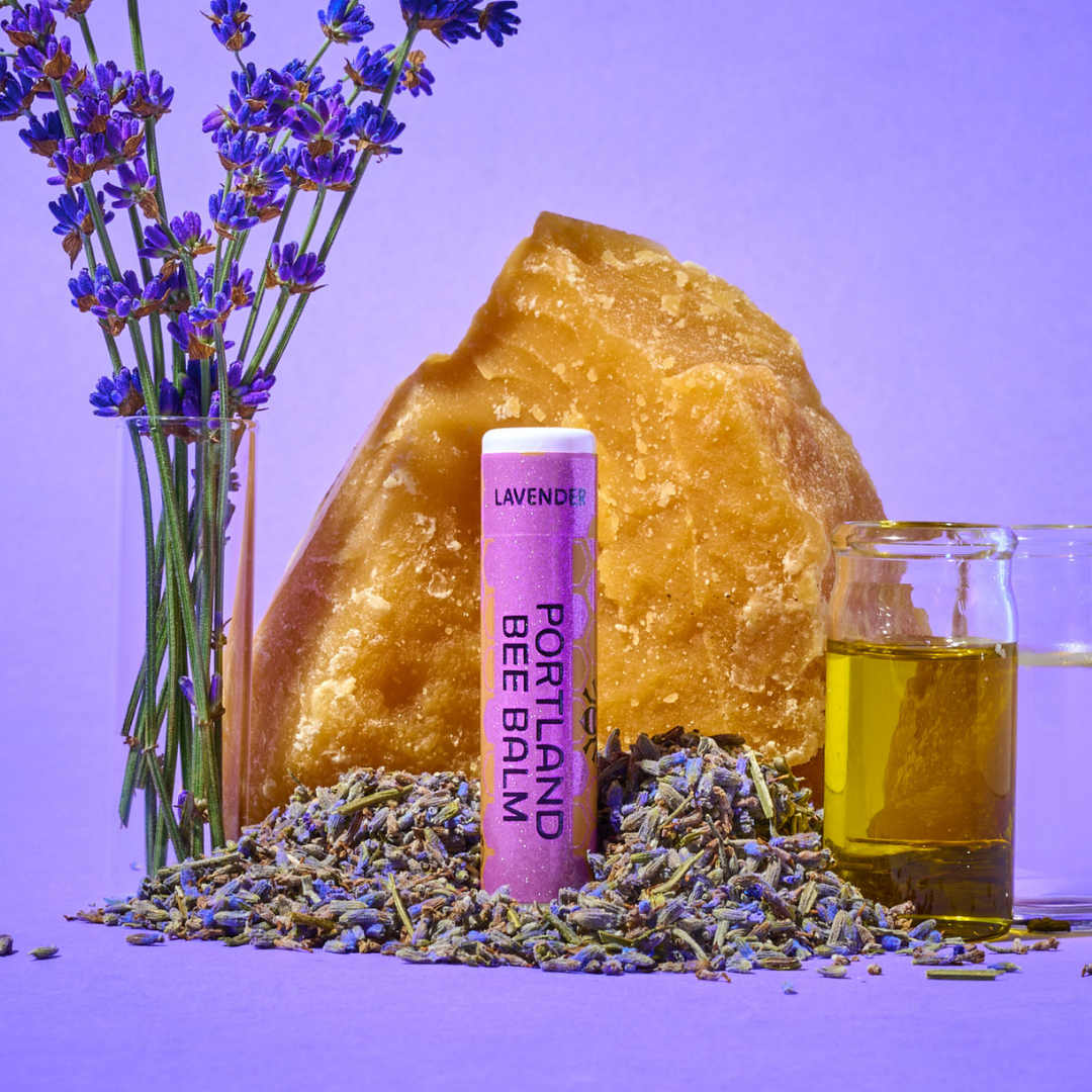 Portland Bee Balm - Wholesale Lip Balm - Lavender Beeswax Lip Balm Display – Calming 24-Count1
