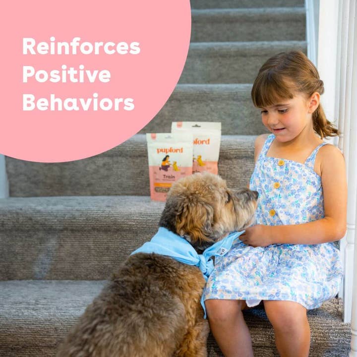 Pupford - Wholesale Pet Treats - Dog - Soft Chicken Training Treats7