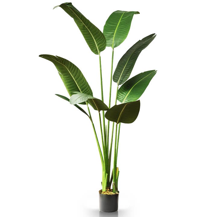 Arbre de paradis artificiel 5 pieds et autres tendances Résultats pour plantes tropicales en vente B2B. Retours gratuits et paiement à 60 jours sur Faire sur Faire.