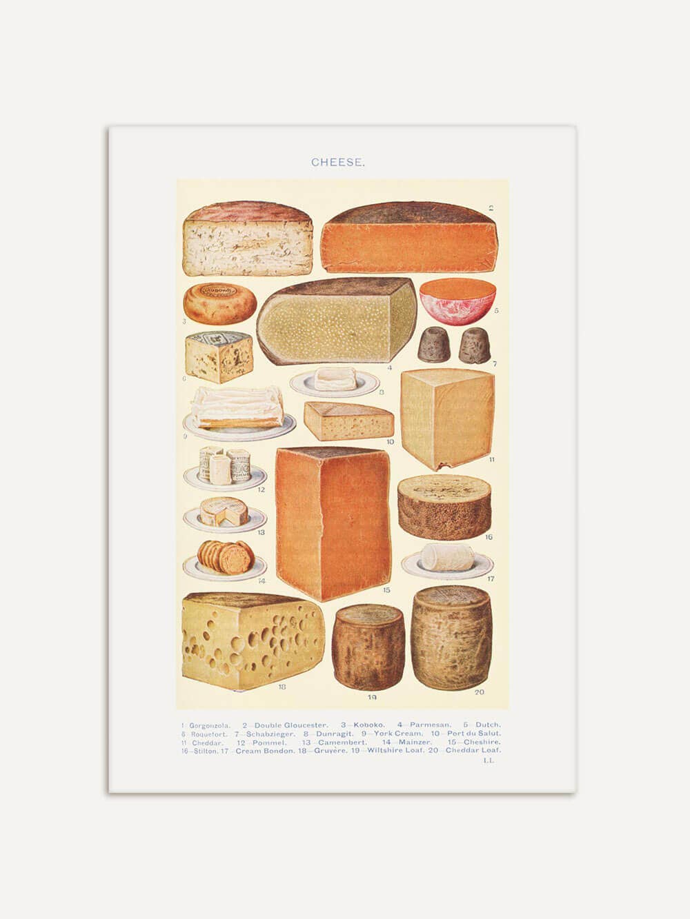 Modern Antique Prints - Wholesale Kunstprint - Vintage illustratie van kaassoorten – kunstafdruk uit Mrs. Beeton's huishoudboek0