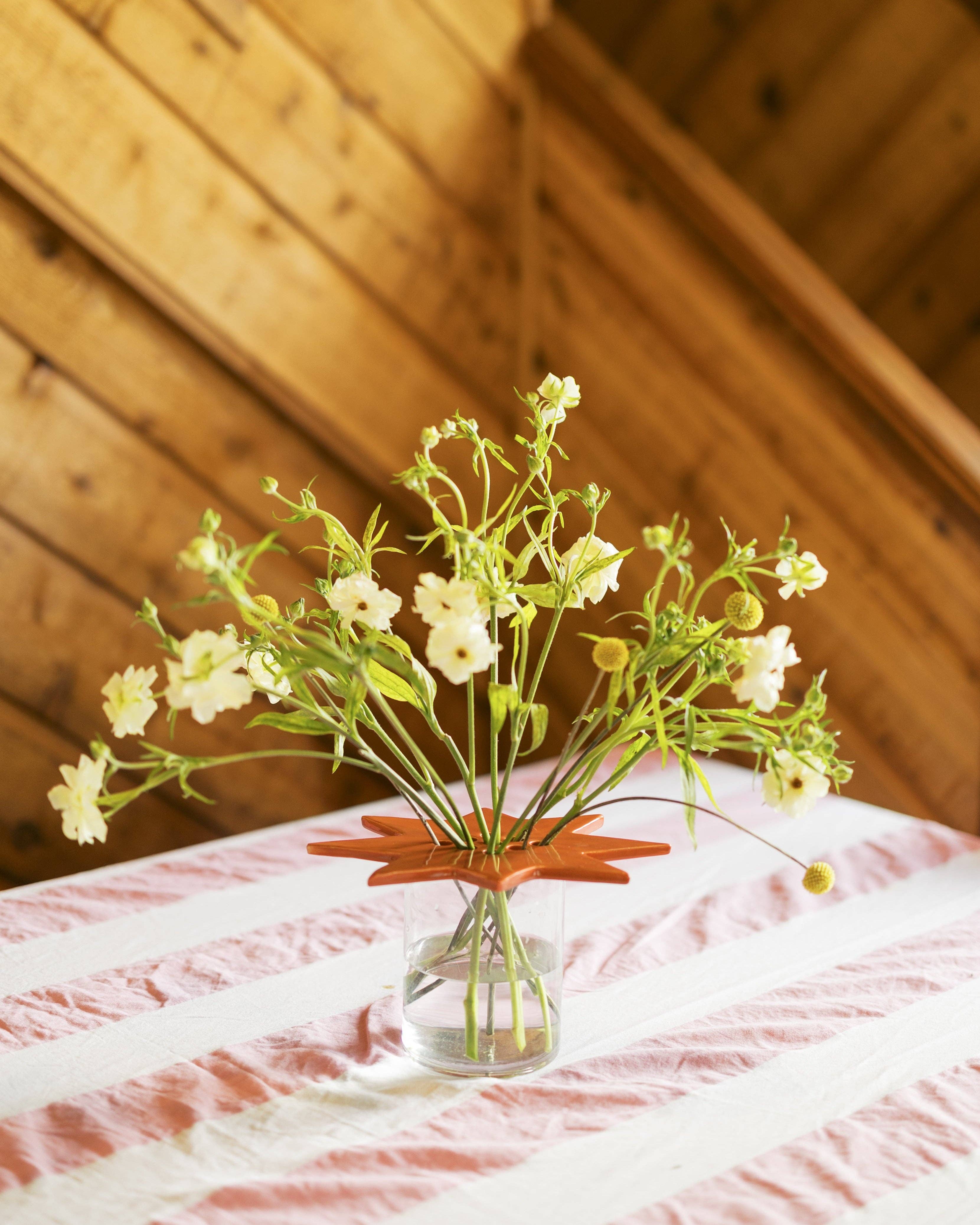 St.Bingo - Vente Décorations de table - Fleur Étoile Grenouille | Terre cuite | Couvercle en céramique2