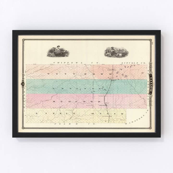 Vintage Map of Taylor County, Wisconsin 1878 for wholesale by Ted's Vintage Art