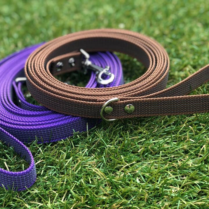 Four Paws Boutique - Wholesale Pet Leash - Dog - Dog Leash - Non-Slip Leash - Purple - Training - Tracking Line