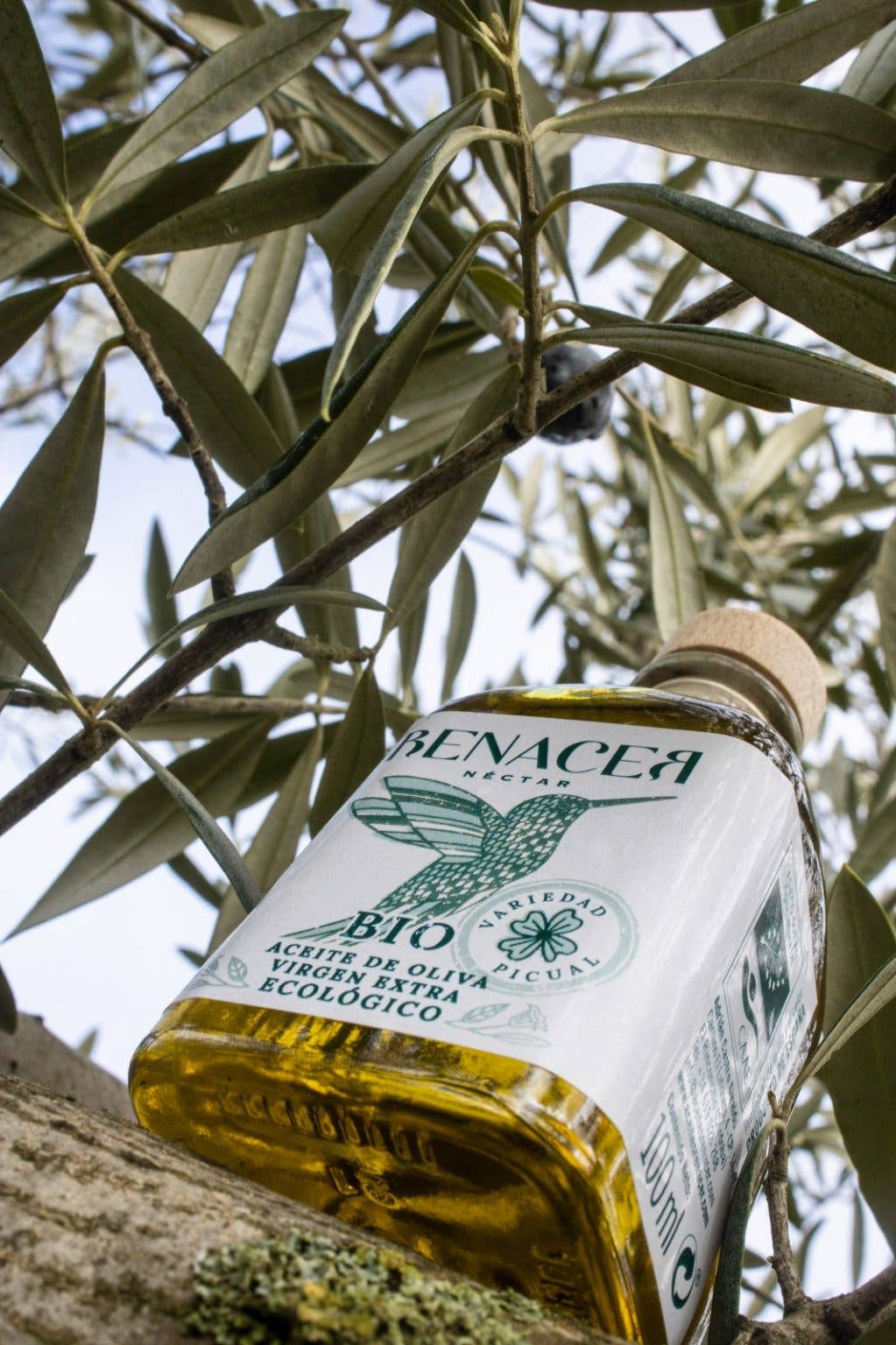 ACEITES RENACER – Großhandel Olivenöl – Bio natives Olivenöl extra, frühe Ernte, 100-ml-Flasche1