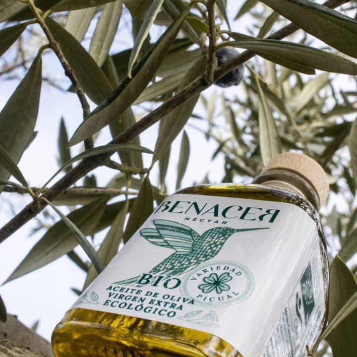 ACEITES RENACER - Wholesale Olive Oil - Organic Extra Virgin Olive Oil 100 ml Bottle1