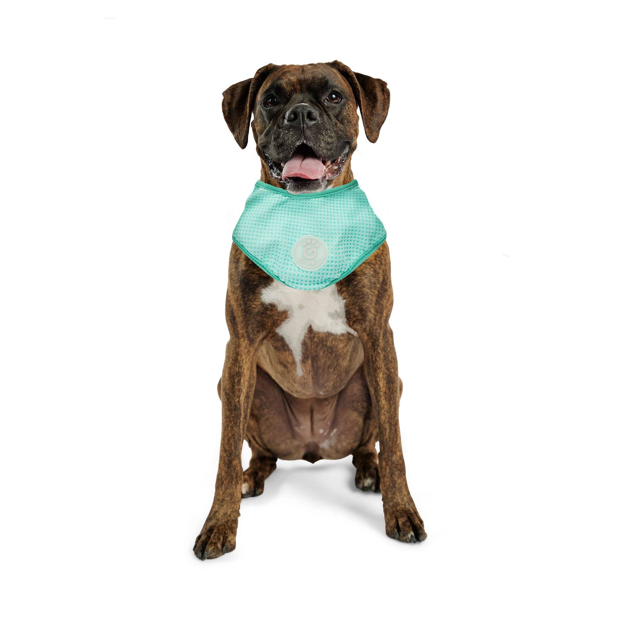 GF Pet - Wholesale Pet Bandana - Dog - ICE BAND - Dog Cooling Bandana - Aqua5