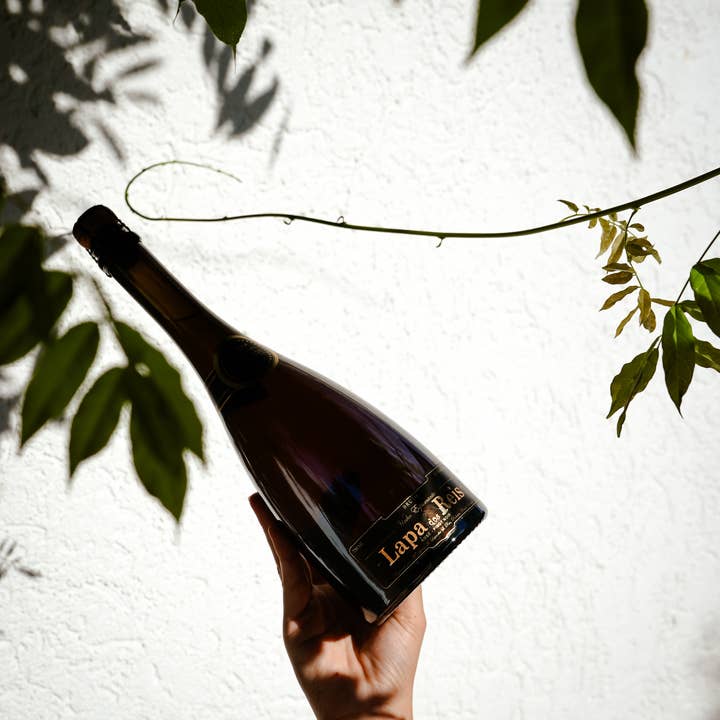 Machado GmbH - Wholesale Champagne/Sparkling Wine - Lapa dos Reis Rose sparkling wine brut | sparkling wine from Portugal1