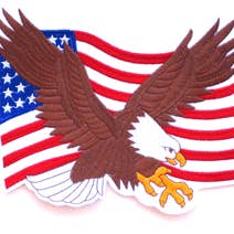 Bandeira dos EUA com Eagle 9" por atacado de Military Patches & Pins