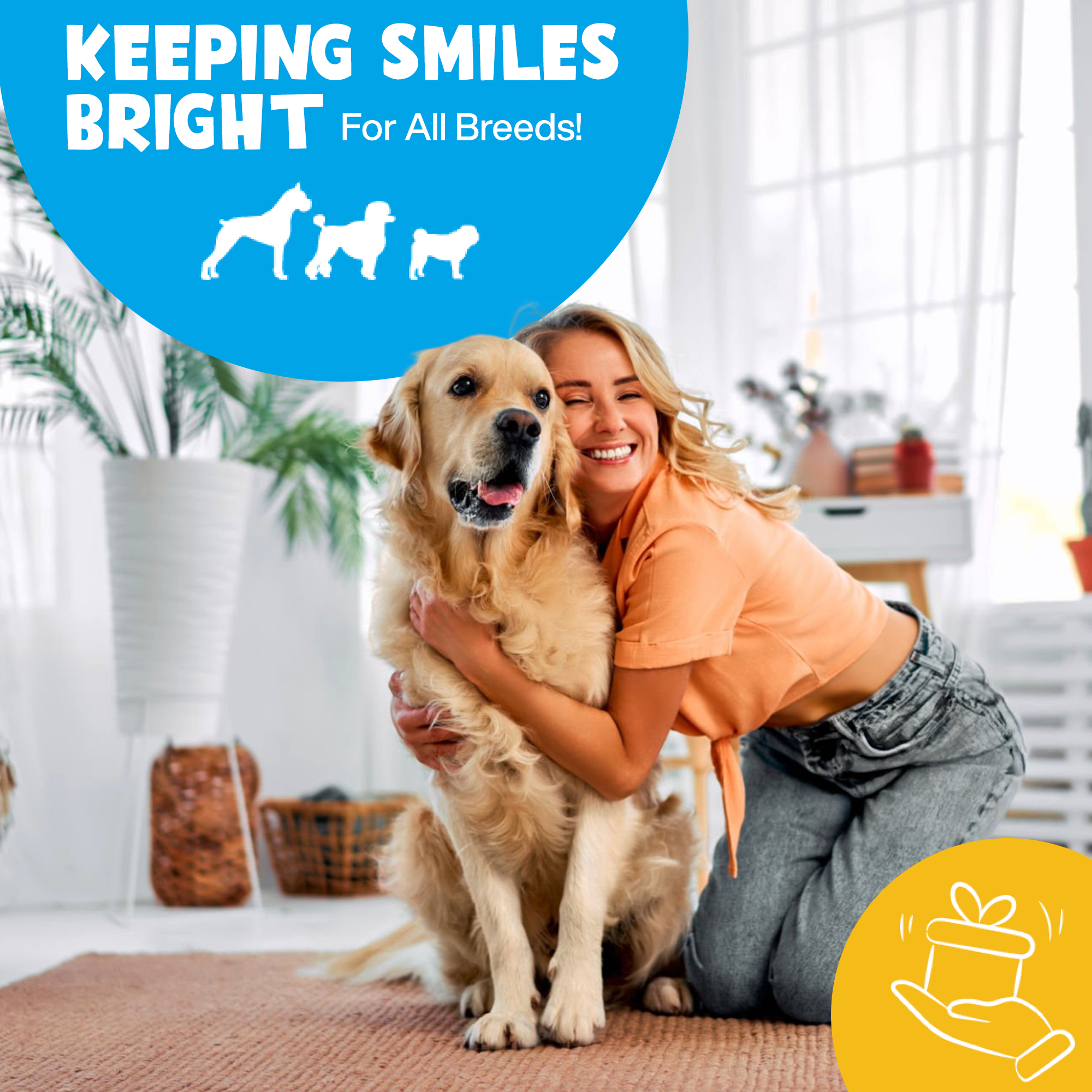 Roofus - Wholesale Pet Toothpaste - Dog - Roofus Dental Wipes | Mint | 60ct5