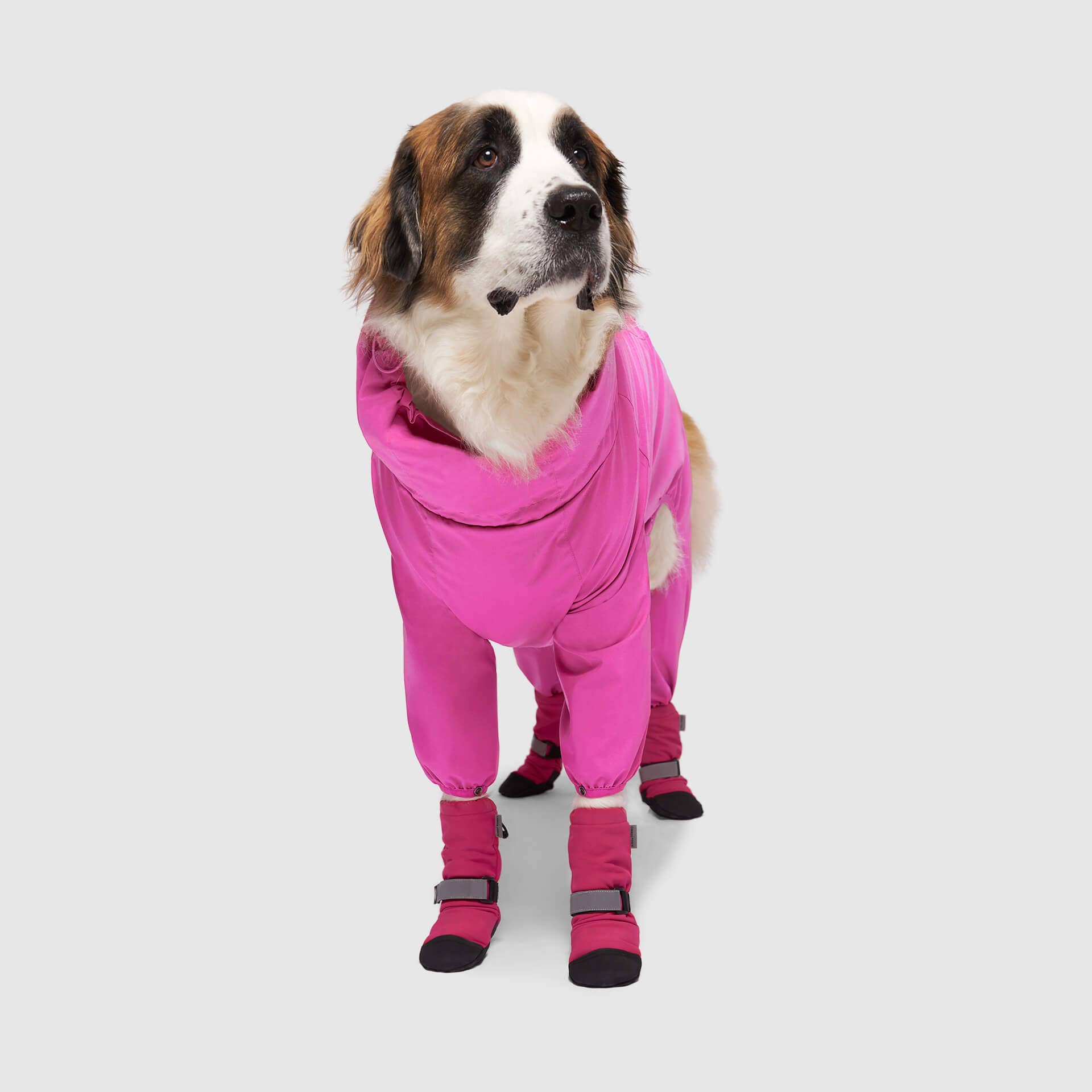 Canada Pooch - Wholesale Pet Boots - Dog - Soft Shield Boots- Dog Boots12