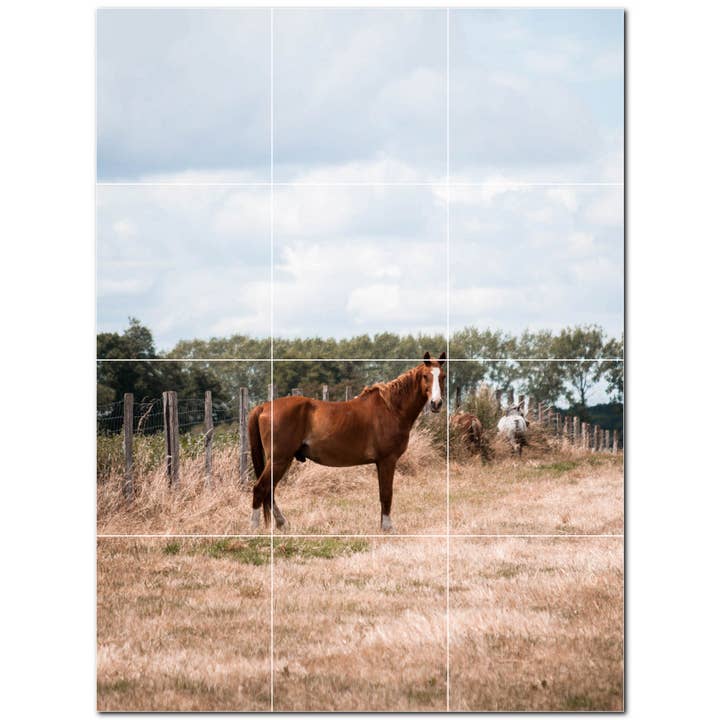 Farm Keramiska plattor Keramiska plattor Väggmålning PT500595 för wholesale av Picture-Tiles.com