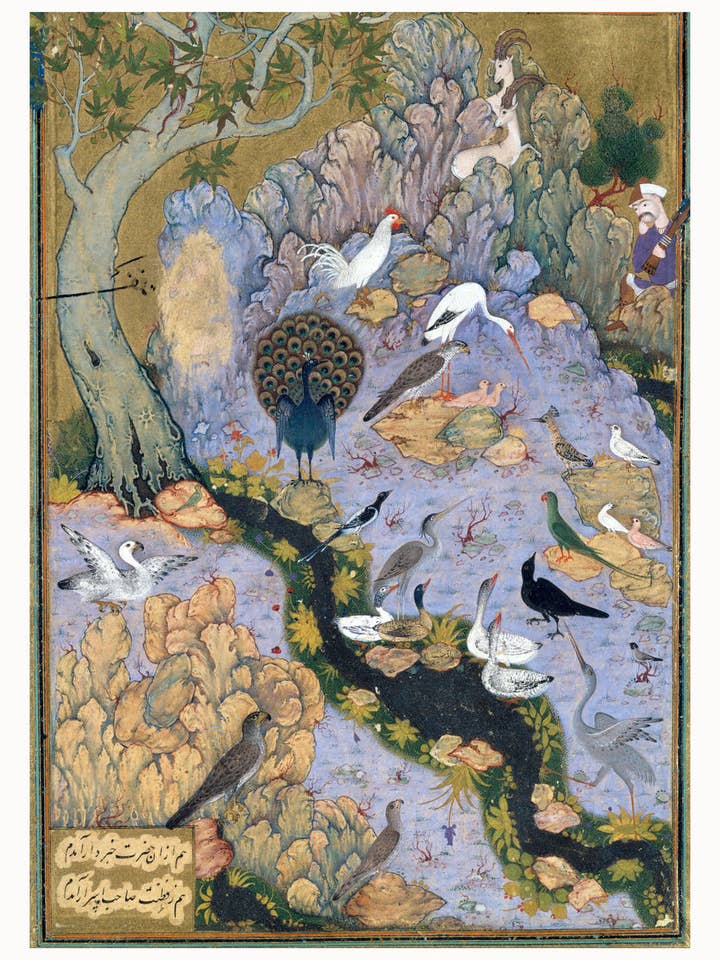 Le hall des oiseaux par Habiballah de Sava - vers 1600 pour la vente par Flashback Shop