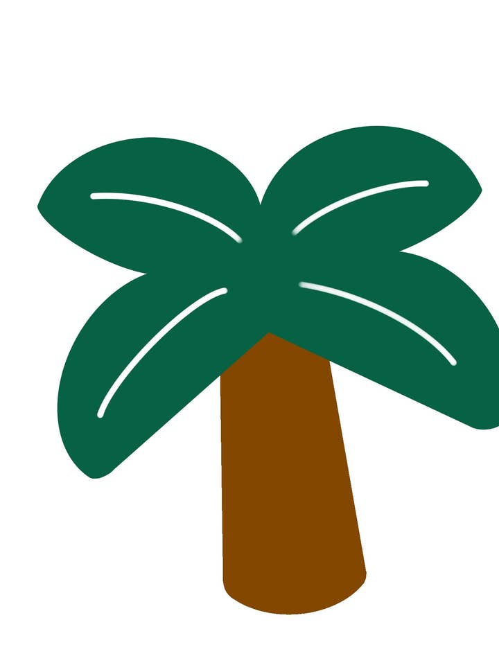 Palm Tree for wholesale by Sav Pup Co