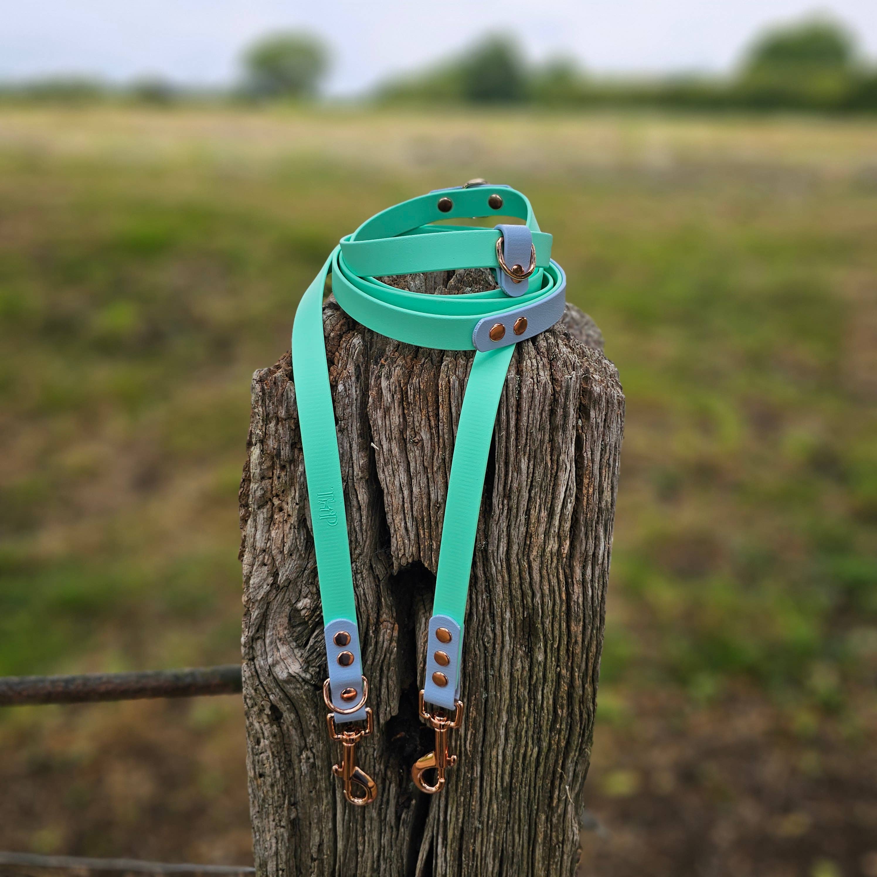 Trinkety Paws - Wholesale Hondenriem - Hond - Waterdichte BioThane handsfree hondenriem / multifunctionele lijn10