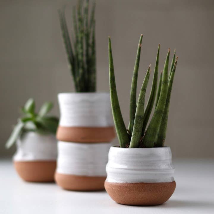 Gravesco Pottery - Wholesale Plant pot - Assorted Small Planter Pots | White 2 inch handmade1
