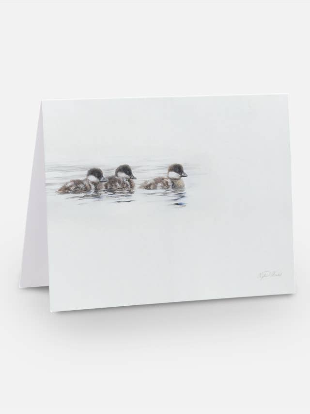 Duckling Greeting Card "Room to Breathe" for wholesale by Crystal Clarke Animal Art
