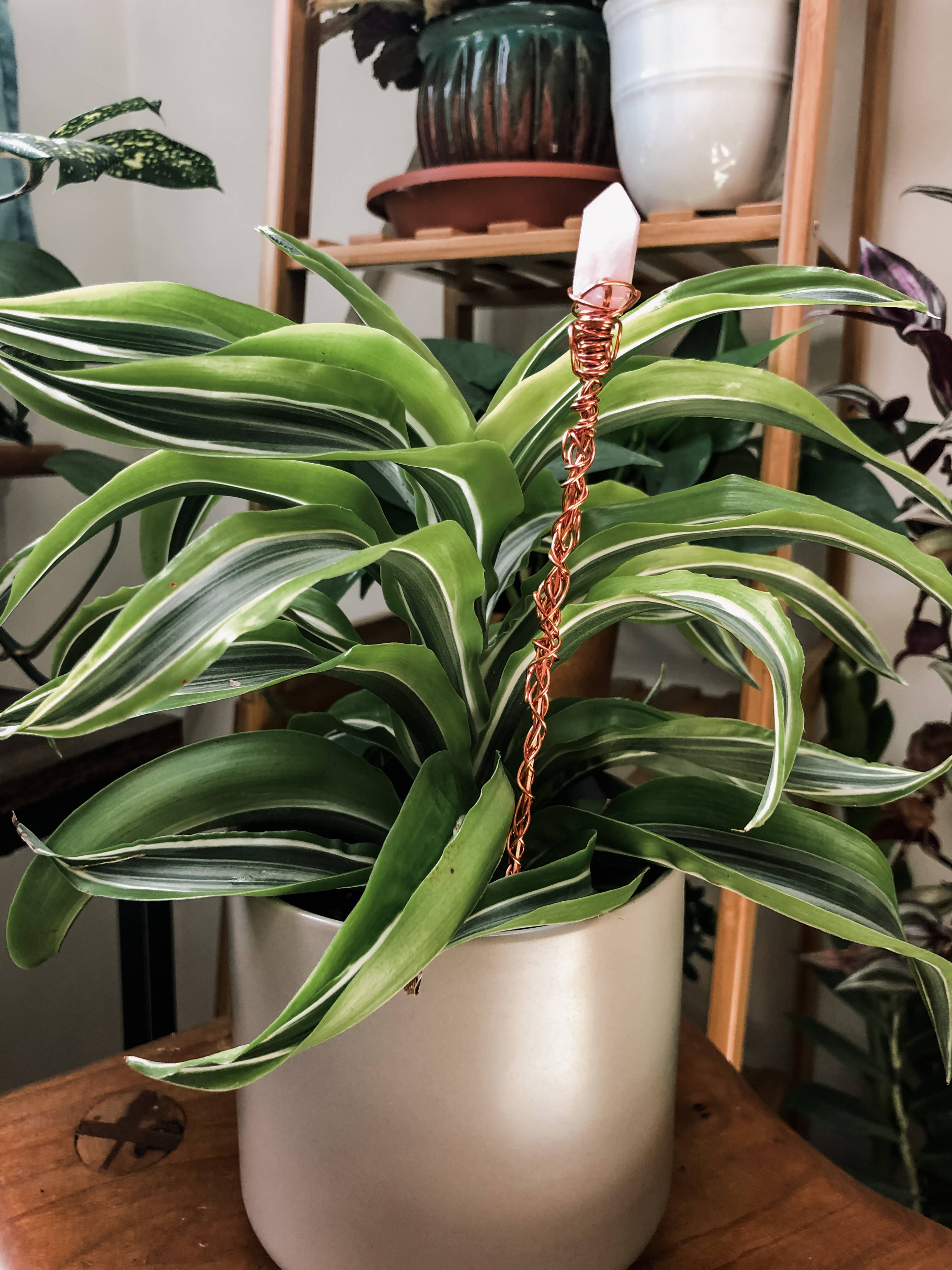 Wrapped Up In Jewelry - Venta al por mayor Postes de jardín/césped - Estaca de planta de cristal de cuarzo rosa envuelta en alambre de cobre1