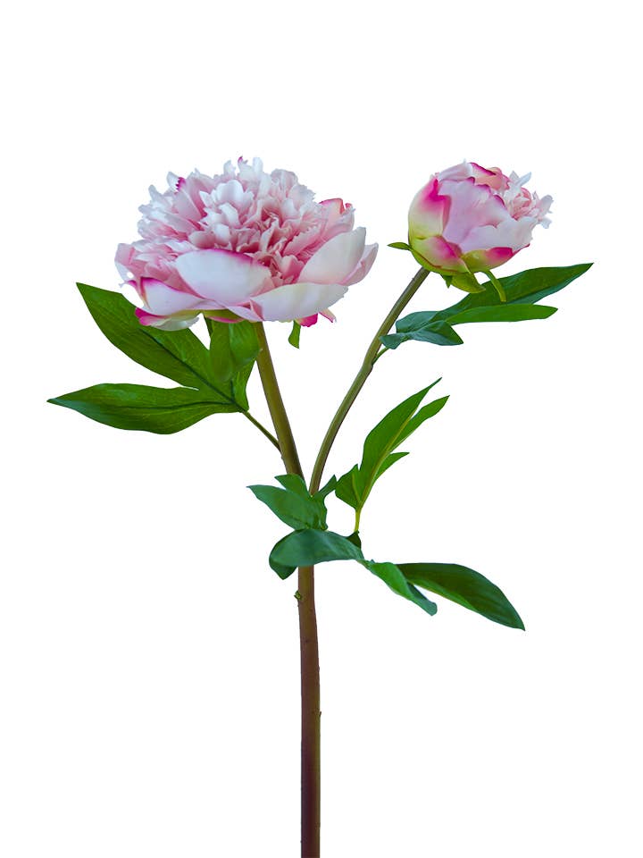 American Best - Vente Fleurs artificielles - PIVOINE À VOLANTS FRESH TOUCH 26"2