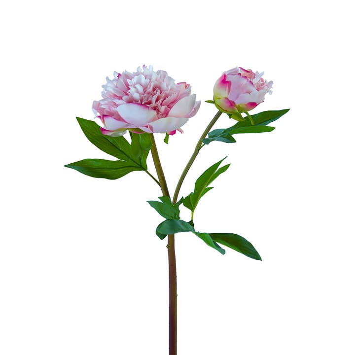 American Best - Vente Fleurs artificielles - PIVOINE À VOLANTS FRESH TOUCH 26"2