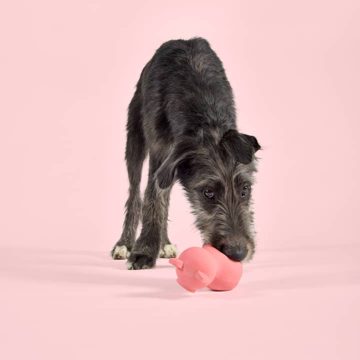 United Pets - Wholesale Pet Toy - Cat/Dog - Pigs latex toy for dogs and cats