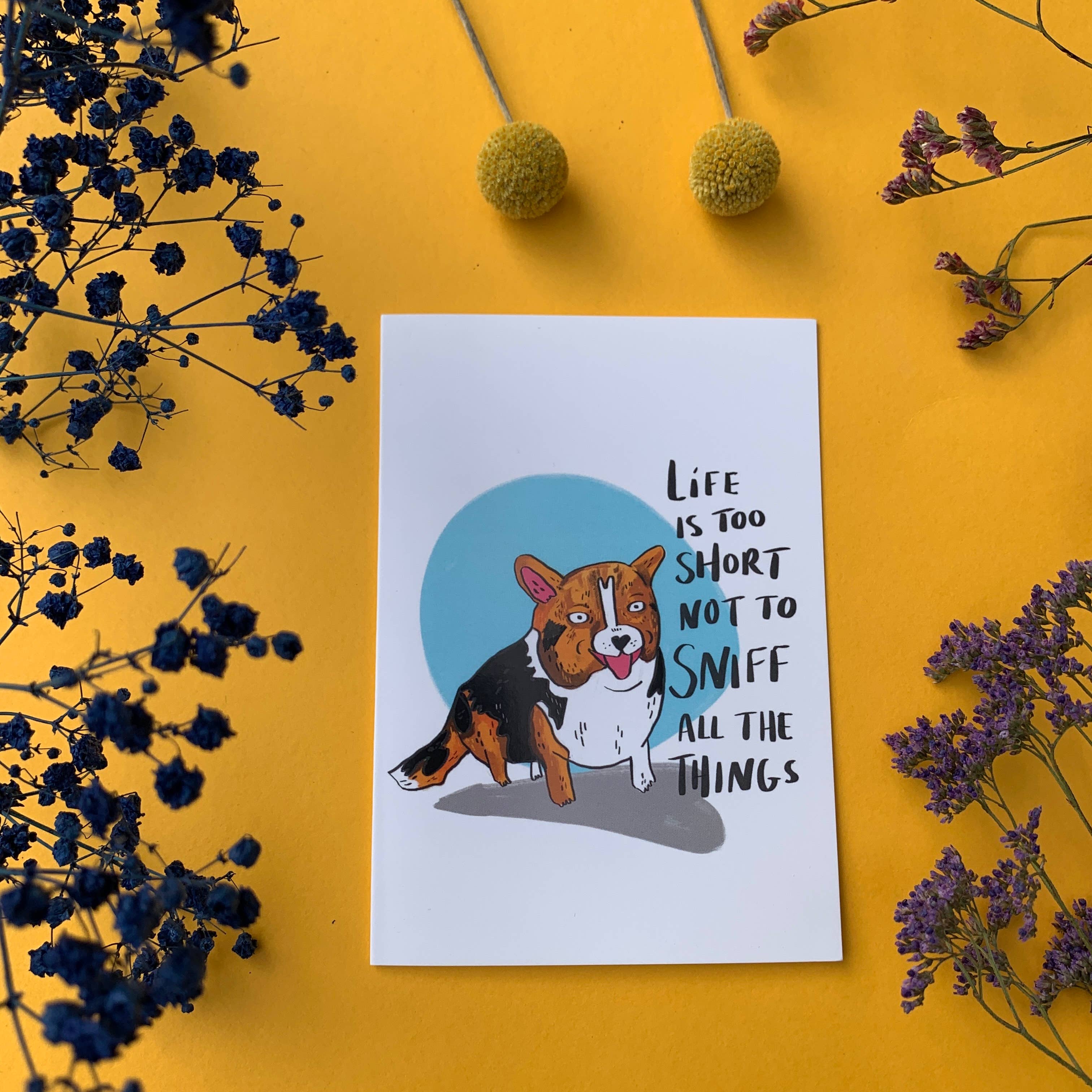 Fernandes Makes - Vente Carte de vœux classique - Carte de vœux Life Is Too Short To Not Sniff All The Things3