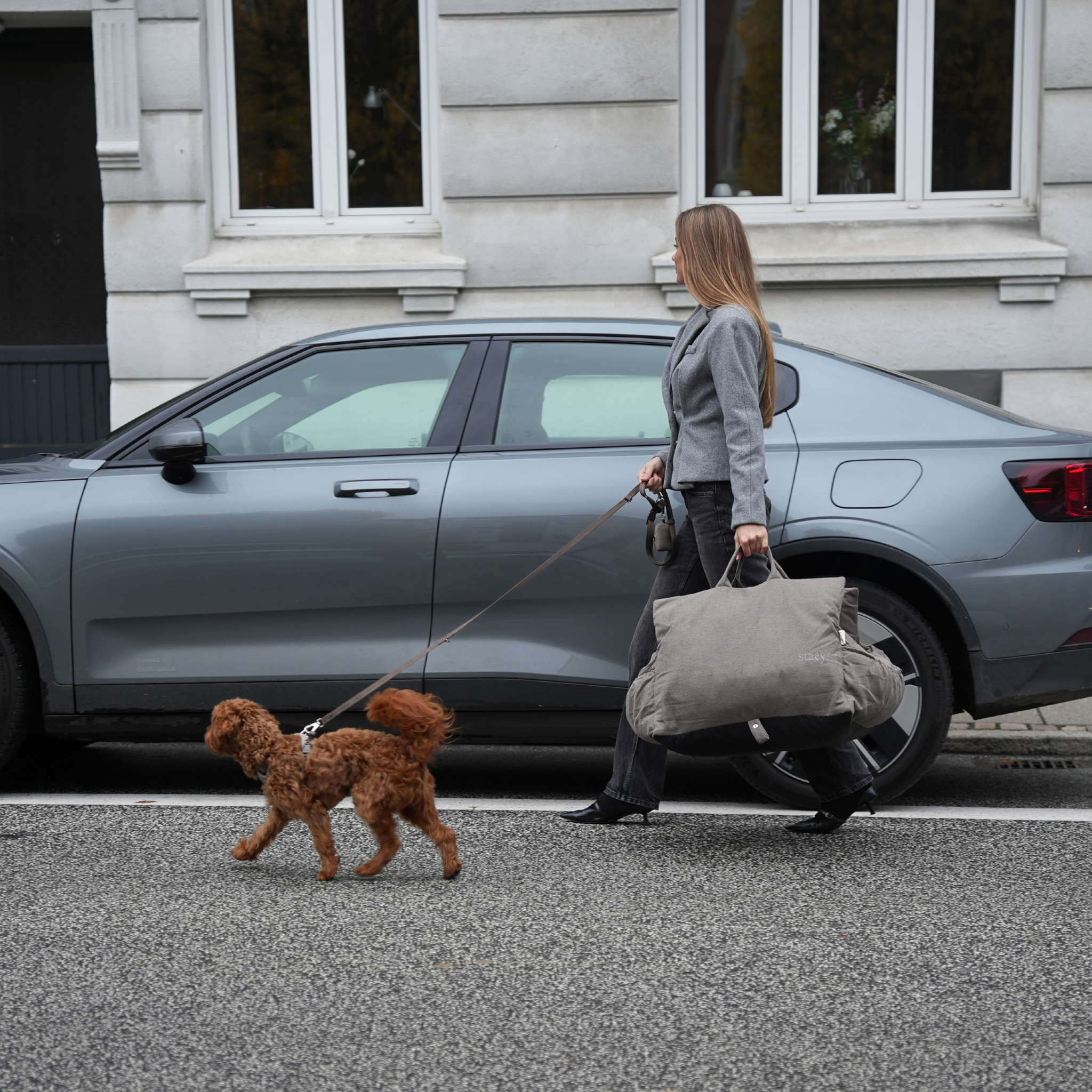 Staey - Wholesale Pet Carrier - Dog - Lara Car Seat | Taupe 2.08