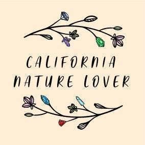 CaNatureLover – wholesale Salviabunt – ORGANISK ficklampa Sage Smudge pinnar,1.56